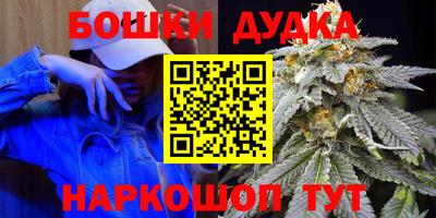 индика Гусиноозёрск