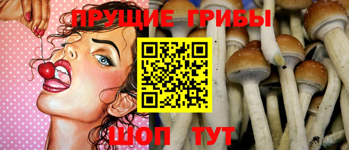Галлюциногенные грибы мицелий  Вход с VPN  Миасс  как найти   Галлюциногенные грибы ЛСД 